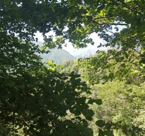 Tour d'Irazein - Antras - Sentein - Bonac-Irazein - 4
