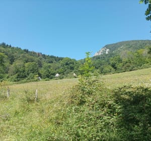 Tour d'Irazein - Antras - Sentein - Bonac-Irazein - 5
