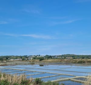 A VCT vers les marais salants de Guérande - Guérande - 4