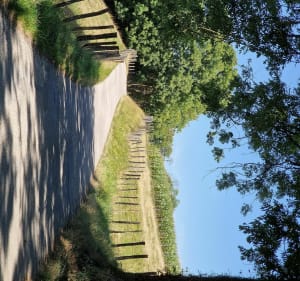 Petites routes d'Isère en vélo - Charavines - 3