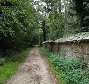 Belle balade sur le chemin rural de Bruyères-le-Châtel depuis Arpenty - FREDERIC - 5