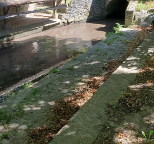Balade photo à Berchères-sur-Vesgre - Berchères-sur-Vesgre - 3