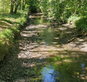 Balade photo à Berchères-sur-Vesgre - Berchères-sur-Vesgre - 4