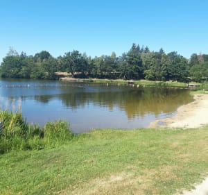 Tour du lac de St-Gervais - Saint-Symphorien-de-Thénières - 3