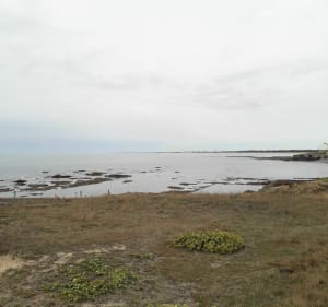 Balade le long de la côte vendéenne à Saint-Jean-de-Monts - Saint-Jean-de-Monts - 5