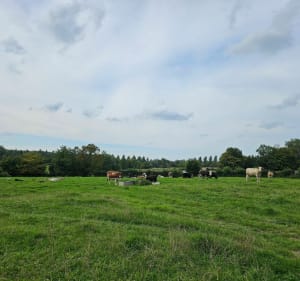 Le circuit des Druides au départ de Obies - Obies - 3