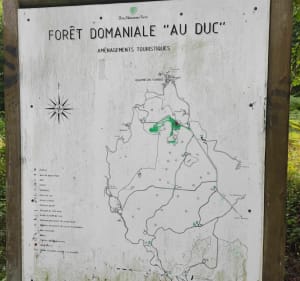 Marche au Parc à daims, Bousson et à la Roche des Fées - Quarré-les-Tombes - 3