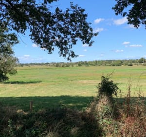 Des hauts de l’Aiguillon sur vie à la Normandelière - L'Aiguillon-sur-Vie - 4