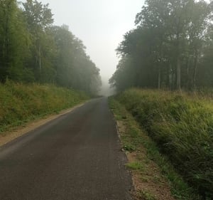 Balade dans l'Yonne - Voisines - 4