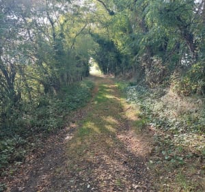 Boucle autour de Vicard - La Rochefoucauld-en-Angoumois - 3