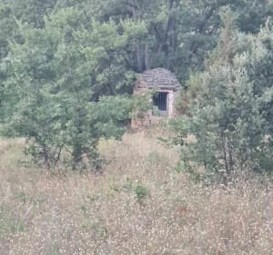Des Taillades à Robion en passant par Lubéron - Taillades - 4