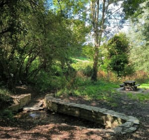 Le poumon vert de Cherbourg par les Roquettes - Cherbourg-en-Cotentin - 4