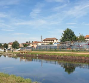 Bords de Loire et canal à  la Gravière aux oiseaux - Mably - 5