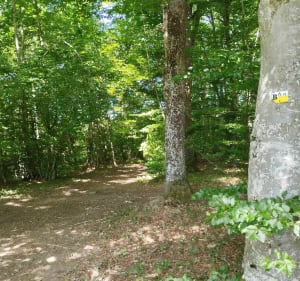 Sortie depuis Bussières - Bussières - 4