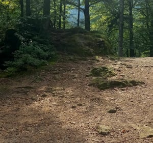 Petite balade entre les Lacs de Retournemer et Longemer - Xonrupt-Longemer - 3
