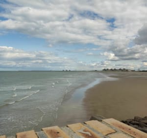 Entre ville et mer à Gravelines - Gravelines - 4