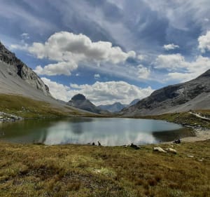 Toevluchtsoord van de Vanoise-pas, lang en rond meer, meer van koeien - Pralognan-la-Vanoise - 3