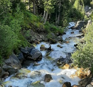 Toevluchtsoord van de Vanoise-pas, lang en rond meer, meer van koeien - Pralognan-la-Vanoise - 4