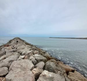 Tour de la pinède du Boucanet - Le Grau-du-Roi - 5