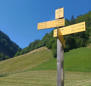 De la Giettaz à Flumet en passant par Chaucisse - La Giettaz - 4