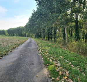Entre champ et rivière à Lamonzie-Saint-Martin - Lamonzie-Saint-Martin - 4