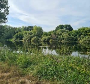 Entre champ et rivière à Lamonzie-Saint-Martin - Lamonzie-Saint-Martin - 5