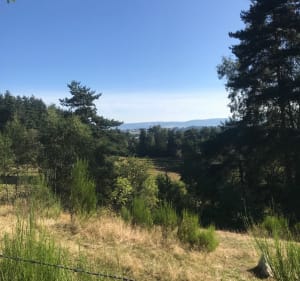 Autour de Saint-Juste en passant par la Roche Branlante - Val-d'Arcomie - 4