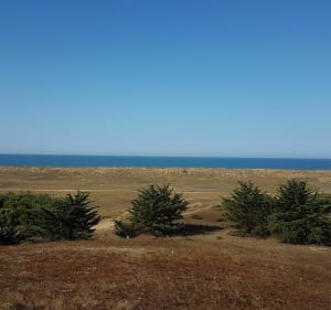 Entre marais et forêts à Sion sur Océan - Saint-Hilaire-de-Riez - 4