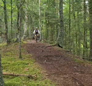 Murat le Quaire Charlannes VTT - Murat-le-Quaire - 4