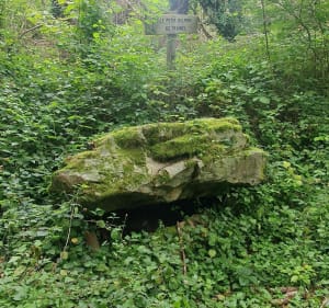 Petite boucle en forêt domaniale de Vauluisant - Saint-Maurice-aux-Riches-Hommes - 5