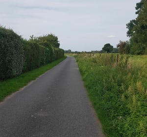 Entre Orchies et Nomain - Orchies - 4