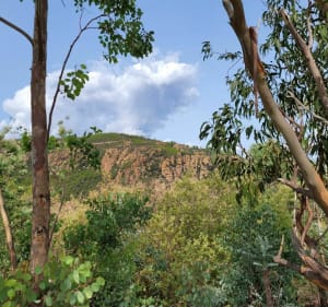 Notre Dame d'Afrique depuis le port de la Rague - Mandelieu-la-Napoule - 4