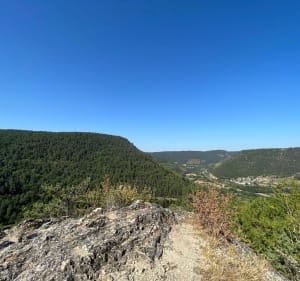 Le Lion de Balsièges - Balsièges - 4