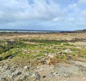 Balade entre Batz sur Mer et le Pouliguen - Batz-sur-Mer - 4
