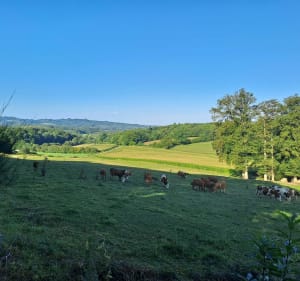 De fontaines en lavoirs - Marsac - 5
