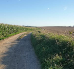 La Sensée par les chemins de campagne - Arleux - 3