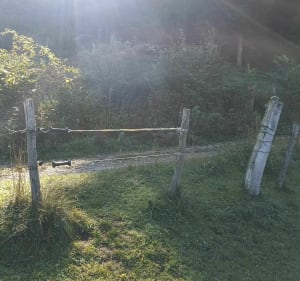 Meer van Saint-Point - Mont d'Or - Montperreux - 3