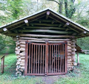 Le sentier du guêpier - Étrepigney - 5