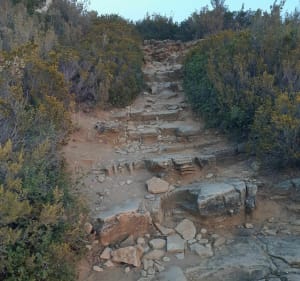 Trail sur les crêtes du Cap Canaille par le bec de l'Aigle - La Ciotat - 4