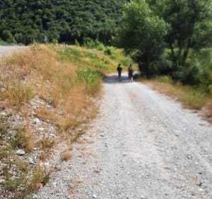 Départ de Rochebrune en passant par la chapelle Saint  Sixte - Veronique - 3