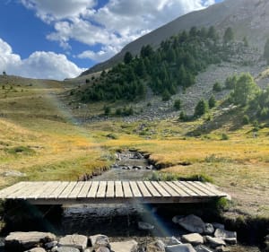Du col de Vars à Vars les Claux par le chemin des myrtilles - Vars - 5