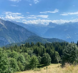 La Bourgeoise depuis La Combe Émeru - Samoëns - 4