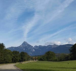 Forêt de Saint-Paul-en-Chablais par Buissons Brulés - Saint-Paul-en-Chablais - 3
