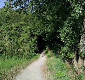 P'tite boucle entre Hoymille et Bergues - Hoymille - 3
