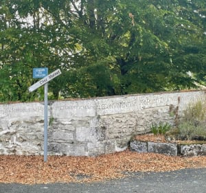 Boucle Saintes - Vénérand dans les sous-bois - Saintes - 5