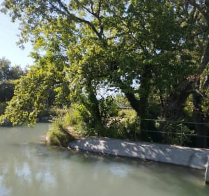 Carpentras Velleron par Pernes les Fontaines - Carpentras - 4