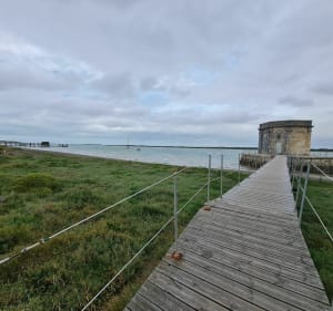Balade de la Charente à l'Atlantique - Soubise - 5