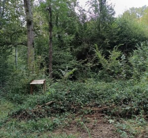 Autour de la motte féodale d'Orleix - Orleix - 3