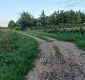 Balade autour d'Ouroux-sur-Saône - Ouroux-sur-Saône - 3