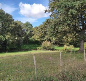 Sentier autour du Port d'Arzal et Coulée de Kerosten - Camoël - 5